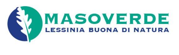 Maso Verde logo